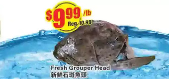 Btrust Supermarket Fresh grouper head offer