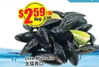 Btrust Supermarket Live mussels offer
