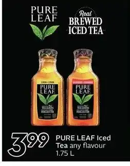 Safeway Pure leaf iced tea offer