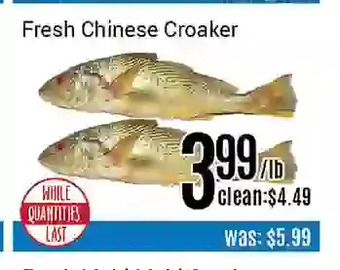 Nations Fresh Foods Fresh chinese croaker offer