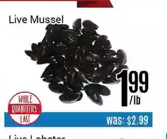 Nations Fresh Foods Live mussel offer