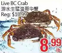 Hong Tai Supermarket Live bc crab offer