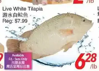 Foody World Live white tilapia offer