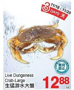 T&T Supermarket Live dungeness crab-large offer