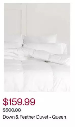 Hudson's Bay Glucksteinhome down & feather duvet - queen offer