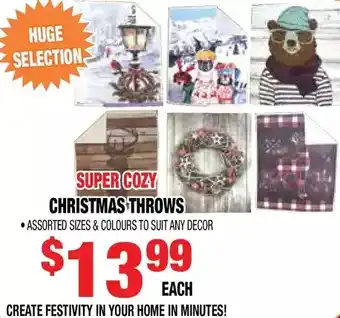 Len's Mill Stores Christmas throws offer