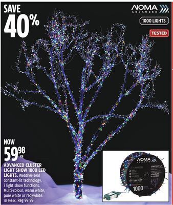 Canadian Tire Noma advanced cluster light show 1000 led lights offer