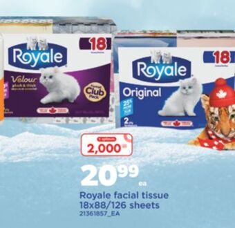 Real Canadian Superstore Royale facial tissue 18x88/126 sheets offer