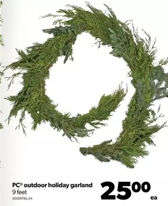 Real Canadian Superstore Pc outdoor holiday garland offer