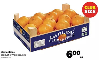 Real Canadian Superstore Clementines offer