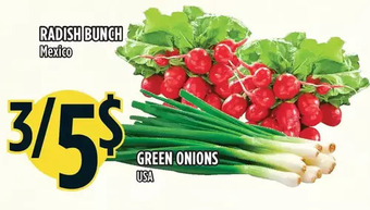 Marché Adonis Radish bunch | green onions offer