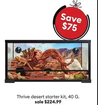 Petsmart Thrive desert starter kit offer