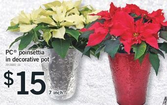 Fortinos Pc® poinsettia in decorative pot, 7 inch offer