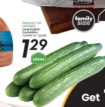 Long english cucumbers