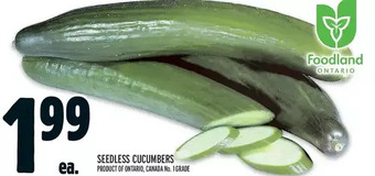 Metro Seedless cucumbers offer