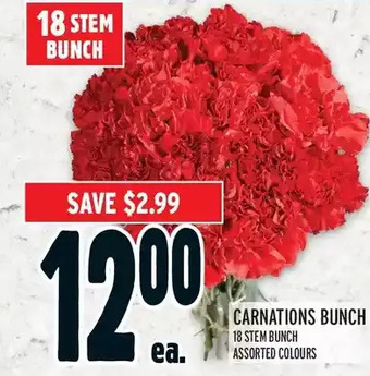 Metro Carnation bunch offer