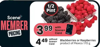 Foodland Blackberries or raspberries offer