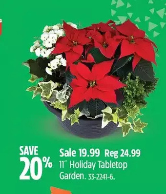 Canadian Tire 11" holiday tabletop garden offer