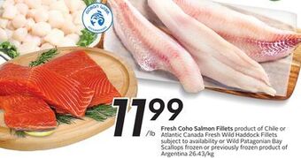 Sobeys Fresh coho salmon fillets offer