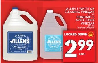 Food Basics Allen's white or cleaning vinegar offer