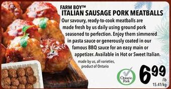 Farm Boy Farm boy™ italian sausage pork meatballs offer