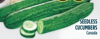 Marché Adonis Seedless cucumbers offer