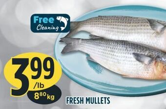 Marché Adonis Fresh mullets offer