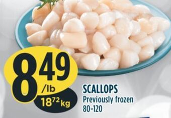 Marché Adonis Scallops offer