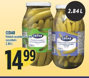 Marché Adonis Cedar pickled cucumbers or wild cucumbers offer