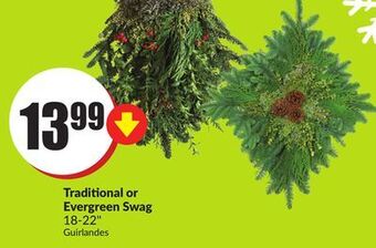 Chalo FreshCo Traditional or evergreen swag 18-22" offer