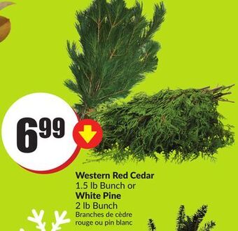 Chalo FreshCo Western red cedar 1.5 lb bunch or white pine 2 lb bunch offer