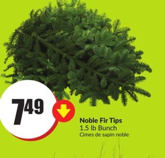 Chalo FreshCo Noble fir tips 1.5 lb bunch offer
