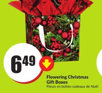 FreshCo Flowering christmas gift boxes offer