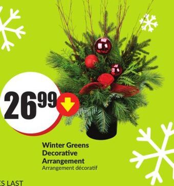 FreshCo Winter greens decorative arrangement offer