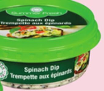 Giant Tiger Summer fresh dip offer