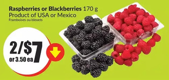 FreshCo Raspberries or blackberries offer