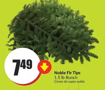 FreshCo Noble fir tips offer