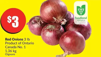 FreshCo Red onions offer