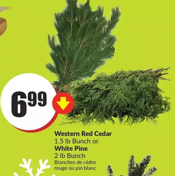 FreshCo Western red cedar or white pine offer