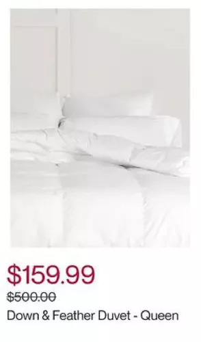 Hudson's Bay Glucksteinhome down & feather duvet - queen offer