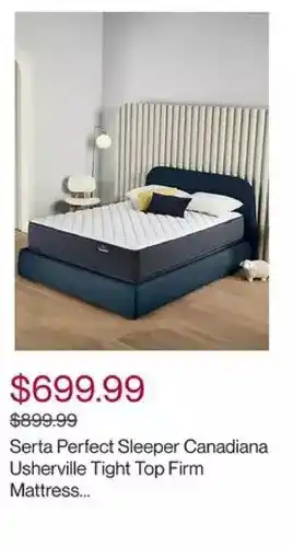 Hudson's Bay Serta serta perfect sleeper canadiana usherville tight top firm mattress - double offer