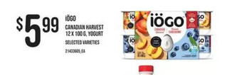 Independent Grocer Iögo canadian harvest yogurt offer