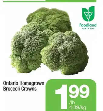 Highland Farms Ontario homegrown broccoli crowns offer