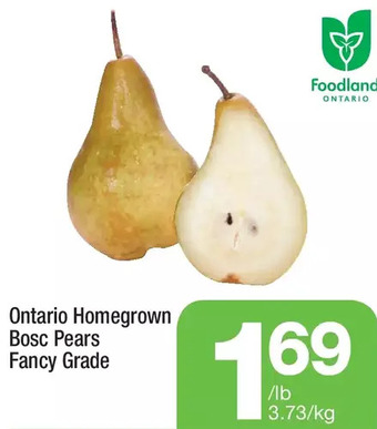 Highland Farms Ontario homegrown bosc pears offer