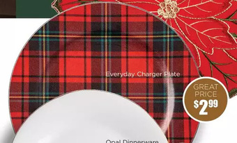 Kitchen Stuff Plus Everyday charger plate offer
