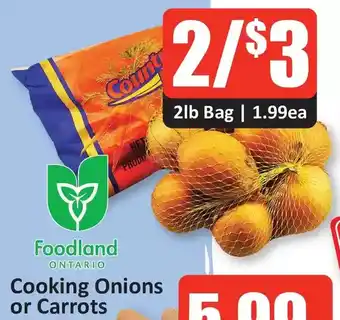 Starsky Cooking onions or carrots offer