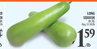 Al Premium Food Mart Long squash offer