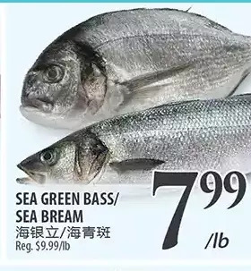 Al Premium Food Mart Sea green bass/sea bream offer