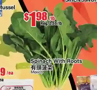 Btrust Supermarket Spinach with roots offer