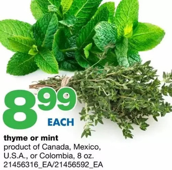 Wholesale Club Thyme or mint offer